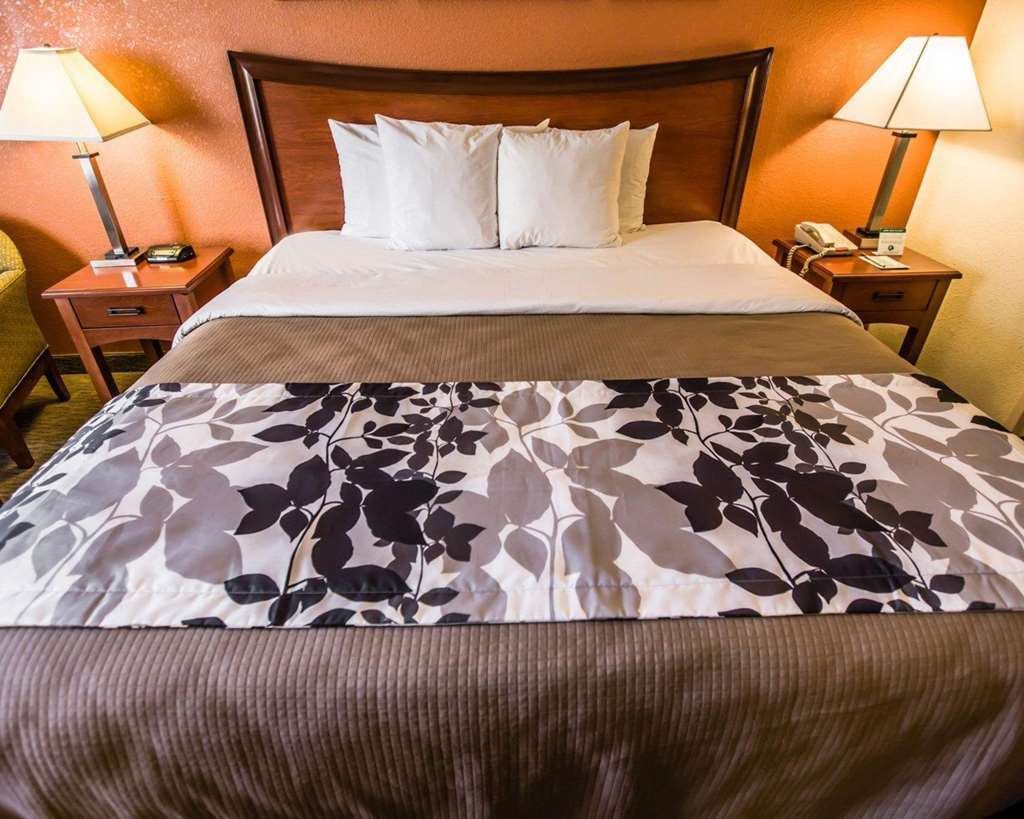 Sleep Inn & Suites Hobbs Room photo